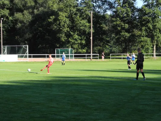 27.08.2016 SpG Wils./Moh./Gars. vs. 1. FC Pirna