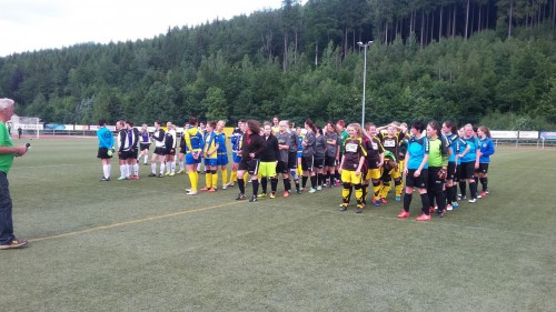 Sommerturnier in Schmiedeberg