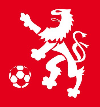 Der 1.FC Pirna möchte sich bedanken