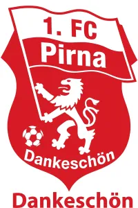 Ehrenamt beim 1. FC Pirna e.V. – Engagement, das unseren Verein trägt