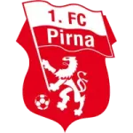 Dein Einsatz für den 1.FC Pirna