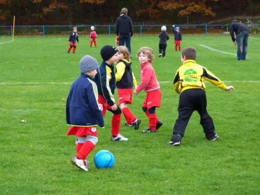 3. G-Juniorenturnier beim 1. FC Pirna