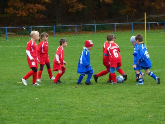 3. G-Juniorenturnier beim 1. FC Pirna