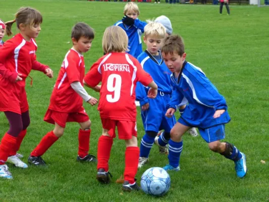 3. G-Juniorenturnier beim 1. FC Pirna