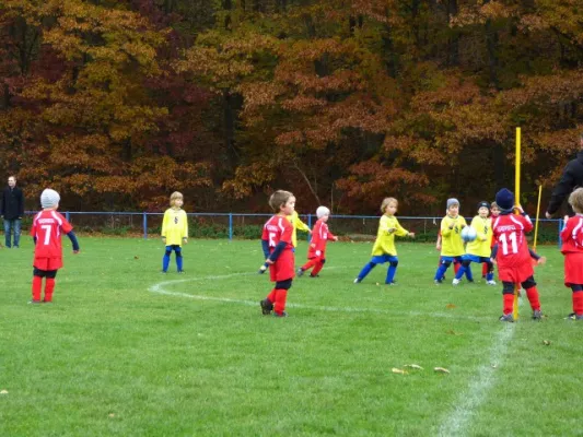 3. G-Juniorenturnier beim 1. FC Pirna