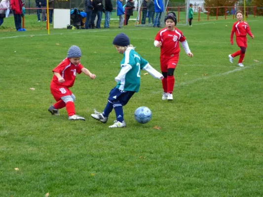 3. G-Juniorenturnier beim 1. FC Pirna