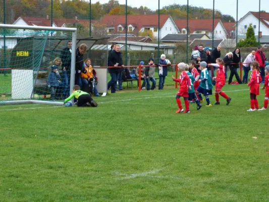 3. G-Juniorenturnier beim 1. FC Pirna