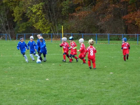 3. G-Juniorenturnier beim 1. FC Pirna