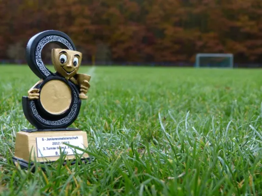 3. G-Juniorenturnier beim 1. FC Pirna