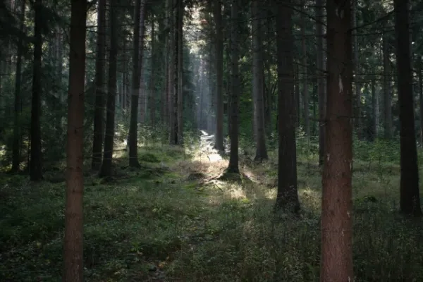 6. SR-Wanderung 03.10.2009