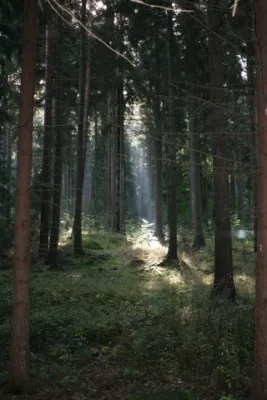 6. SR-Wanderung 03.10.2009