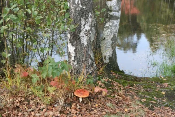 6. SR-Wanderung 03.10.2009