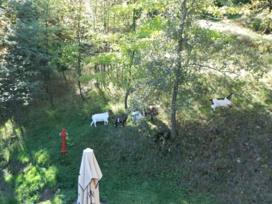 10. SR-Wanderung 2013