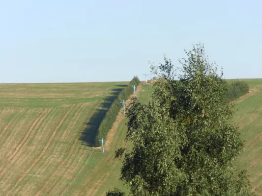 10. SR-Wanderung 2013