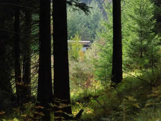 10. SR-Wanderung 2013