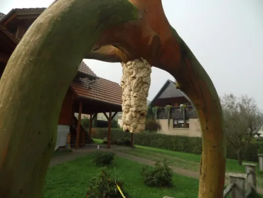 11. SR-Wanderung 03.10.2014