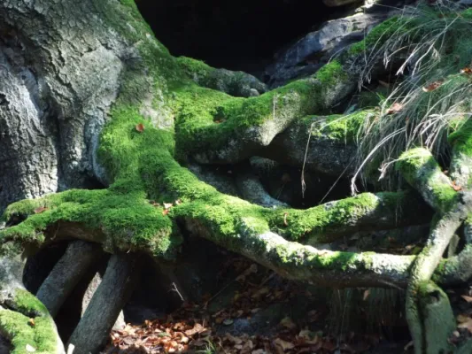 11. SR-Wanderung 03.10.2014