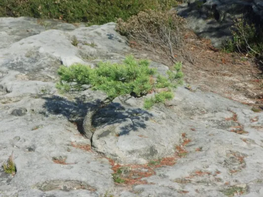 11. SR-Wanderung 03.10.2014