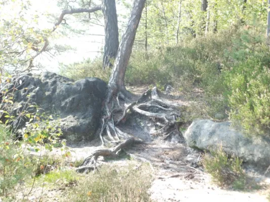 11. SR-Wanderung 03.10.2014