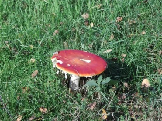 11. SR-Wanderung 03.10.2014