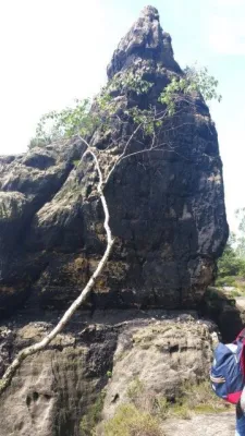 Wandertag unserer D-Junioren am 04.06.2016