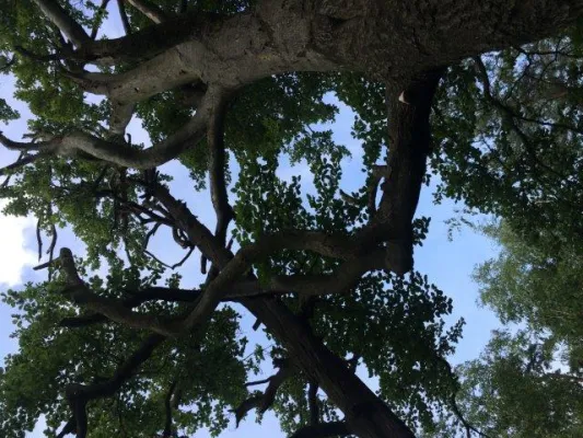 Wandertag unserer D-Junioren am 04.06.2016