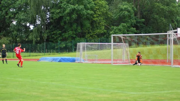 Pokalfinale B - und C-Jgd. 2012/2013 - Wilsdruff
