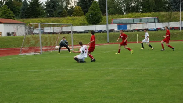 Pokalfinale B - und C-Jgd. 2012/2013 - Wilsdruff