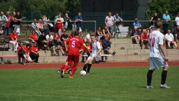 Pokalfinale B - und C-Jgd. 2012/2013 - Wilsdruff