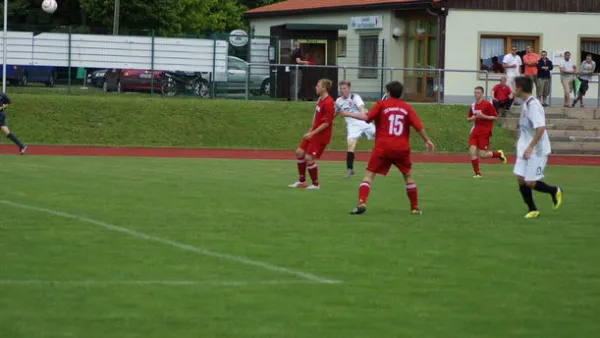 Pokalfinale B - und C-Jgd. 2012/2013 - Wilsdruff