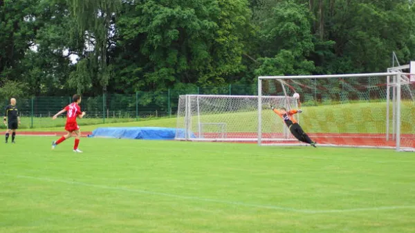 Pokalfinale B - und C-Jgd. 2012/2013 - Wilsdruff