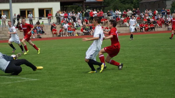 Pokalfinale B - und C-Jgd. 2012/2013 - Wilsdruff