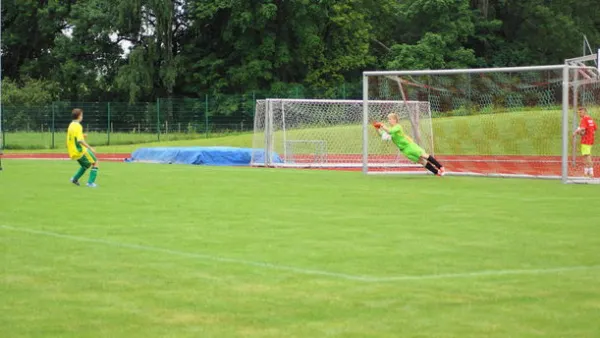 Pokalfinale B - und C-Jgd. 2012/2013 - Wilsdruff