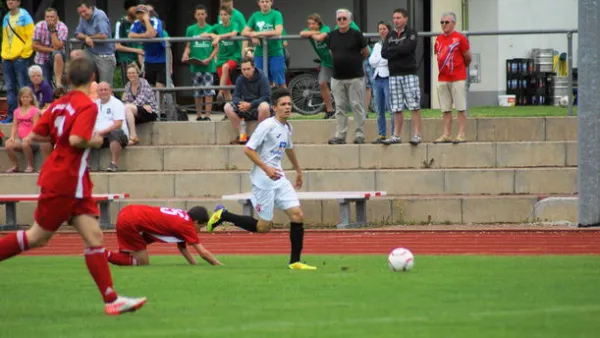 Pokalfinale B - und C-Jgd. 2012/2013 - Wilsdruff