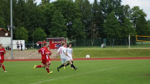 Pokalfinale B - und C-Jgd. 2012/2013 - Wilsdruff