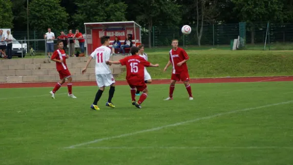 Pokalfinale B - und C-Jgd. 2012/2013 - Wilsdruff