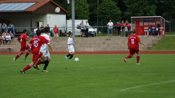 Pokalfinale B - und C-Jgd. 2012/2013 - Wilsdruff