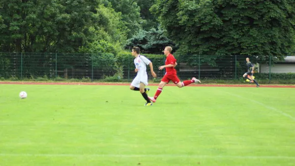 Pokalfinale B - und C-Jgd. 2012/2013 - Wilsdruff