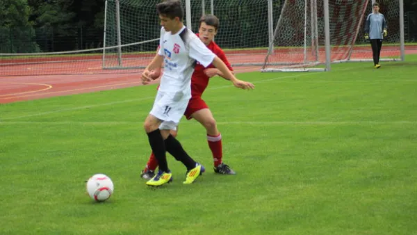 Pokalfinale B - und C-Jgd. 2012/2013 - Wilsdruff