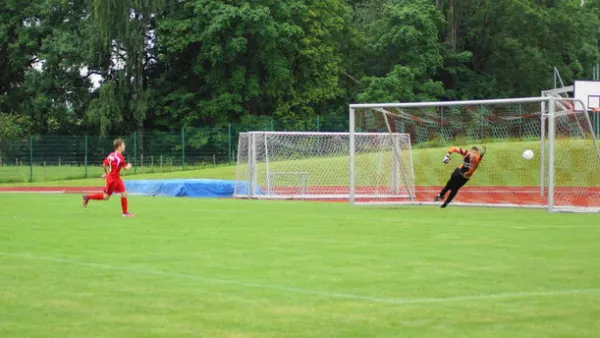 Pokalfinale B - und C-Jgd. 2012/2013 - Wilsdruff