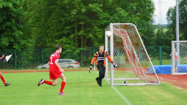 Pokalfinale B - und C-Jgd. 2012/2013 - Wilsdruff