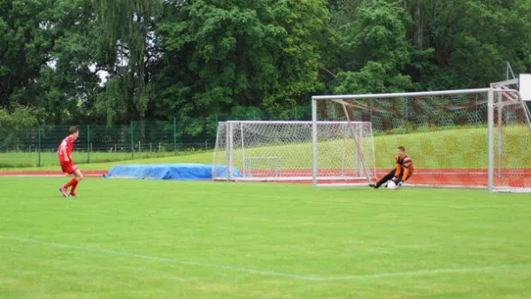 Pokalfinale B - und C-Jgd. 2012/2013 - Wilsdruff