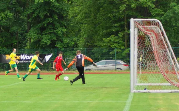 Pokalfinale B - und C-Jgd. 2012/2013 - Wilsdruff