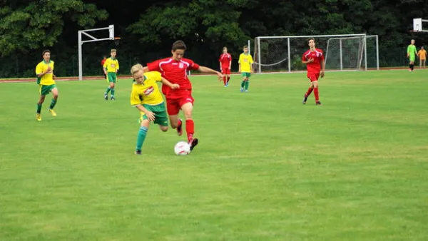 Pokalfinale B - und C-Jgd. 2012/2013 - Wilsdruff