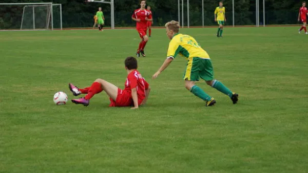 Pokalfinale B - und C-Jgd. 2012/2013 - Wilsdruff