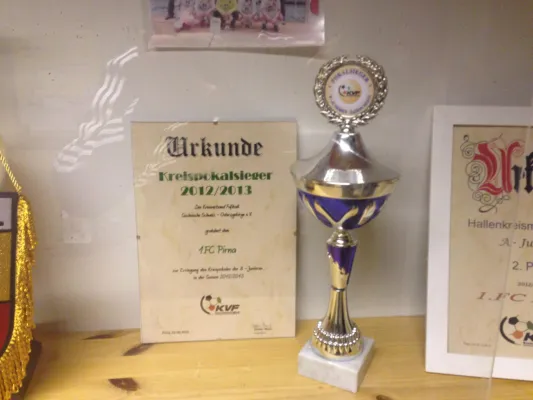 Pokalfinale B - und C-Jgd. 2012/2013 - Wilsdruff