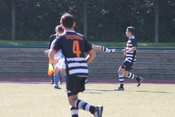 A-Jugend Landesklasse - SpG Sebnitz/Neustadt 15-16