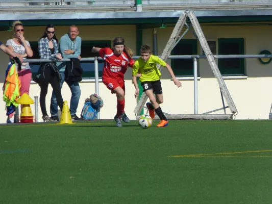 23.03.2019 1. FC Pirna vs. SG Empor Possendorf