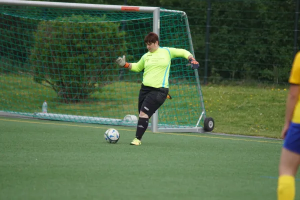 28.04.2019 1. FC Pirna vs. Lomnitzer SV