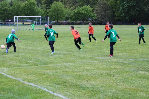 11.05.2019 1. FC Pirna vs. SV Chemie Dohna